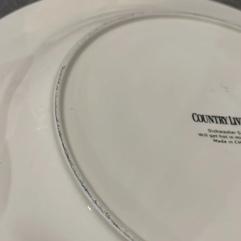 Country Living White with Red Trim Chicken and Chicks 11” Plate Hens and Chicks